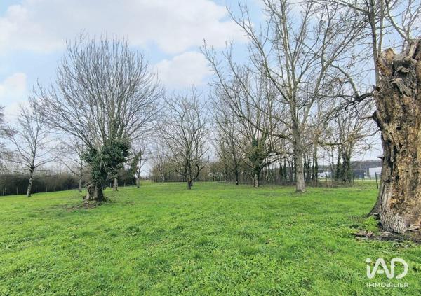 Maison à vendre 7 pièces 204 m² Saint-Antoine-de-Breuilh