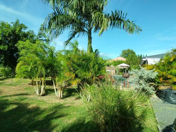 Villa contemporaine en bois de 100 m² avec piscine à Saint François .