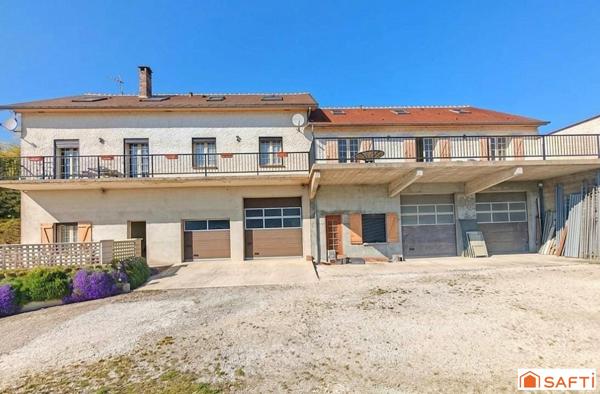 Propriété rare sur Coulanges la Vineuse : Grande maison avec piscine avec plusieurs investissements locatifs