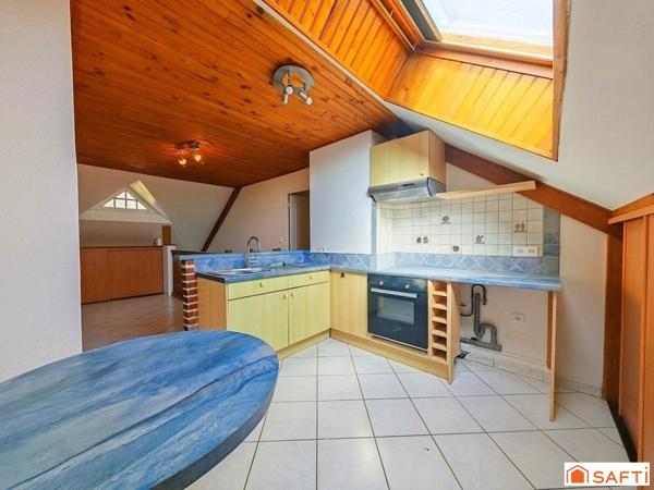 Propriété rare sur Coulanges la Vineuse : Grande maison avec piscine avec plusieurs investissements locatifs