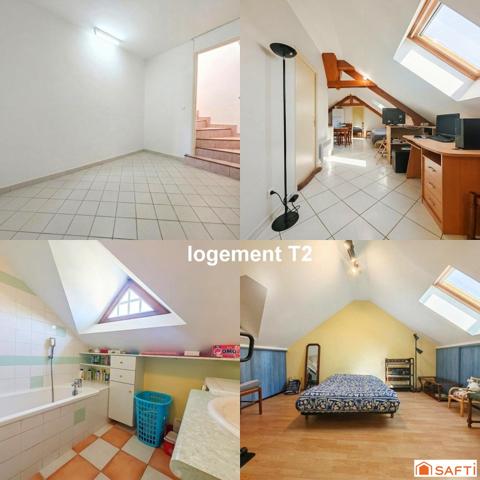 Propriété rare sur Coulanges la Vineuse : Grande maison avec piscine avec plusieurs investissements locatifs