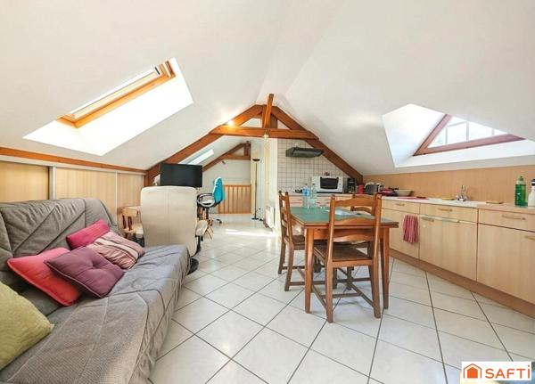 Propriété rare sur Coulanges la Vineuse : Grande maison avec piscine avec plusieurs investissements locatifs