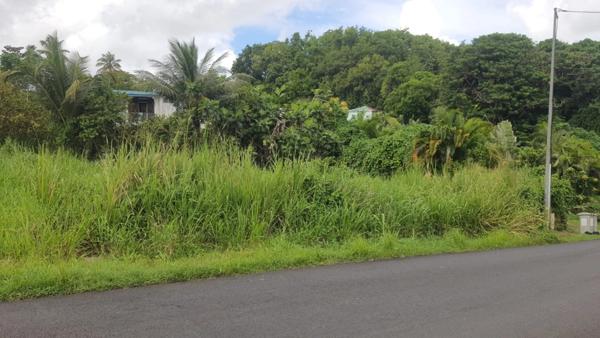 Terrain à vendre de 669 m² SAINTE ANNE (971)