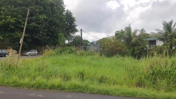 Terrain à vendre de 669 m² SAINTE ANNE (971)