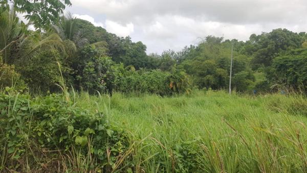 Terrain à vendre de 669 m² SAINTE ANNE (971)