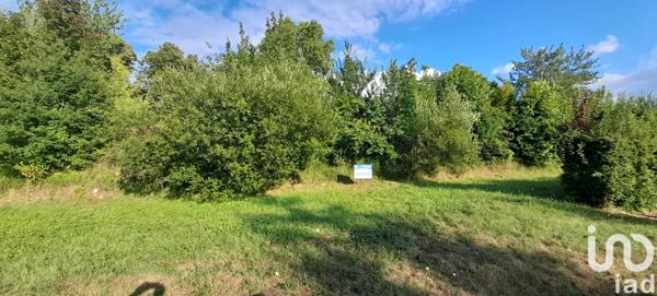 Terrain à vendre 6 575 m² Pont-du-Casse