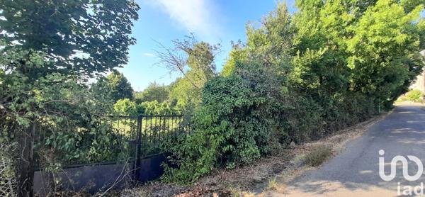 Terrain à vendre 6 575 m² Pont-du-Casse