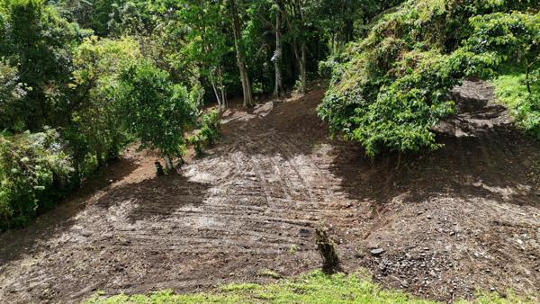 Terrain plat de 2175m² à Fort-de-France, à la campagne, idéal pour projet de construction ou investissement locatif
