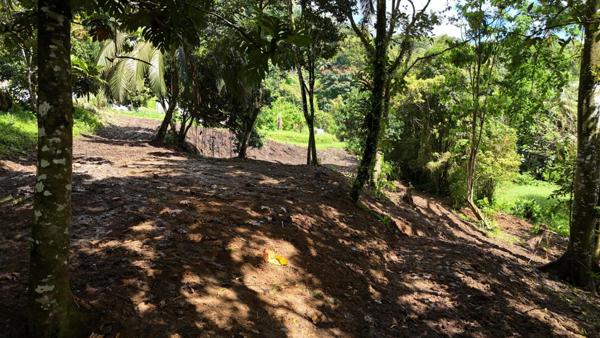 Terrain plat de 2175m² à Fort-de-France, à la campagne, idéal pour projet de construction ou investissement locatif