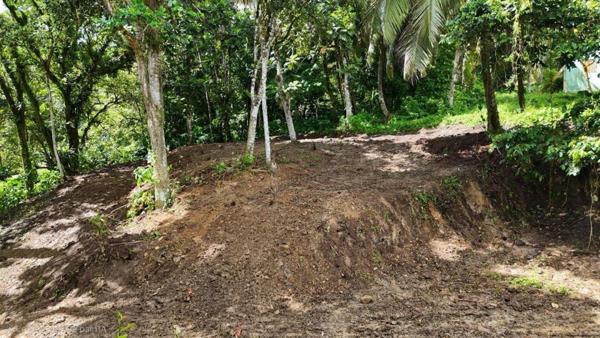 Terrain plat de 2175m² à Fort-de-France, à la campagne, idéal pour projet de construction ou investissement locatif