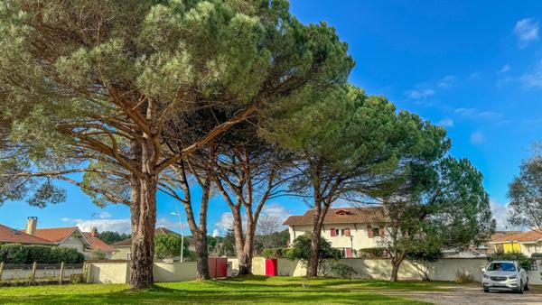 Sanguinet (40460) Magnifique propriété rénovée proche du lac