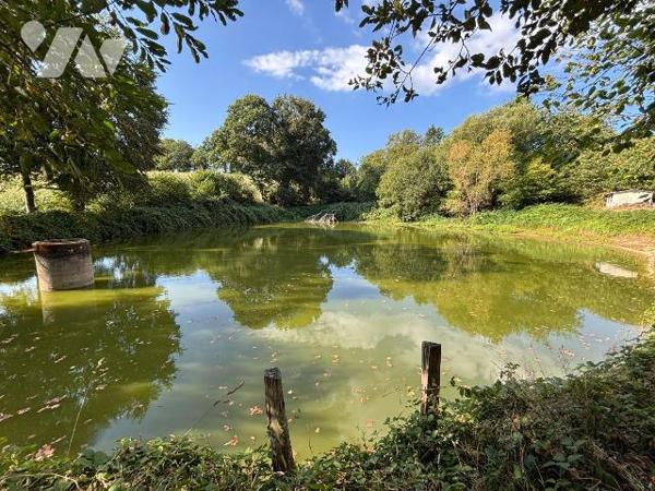 ST MARS SUR LA FUTAIE, Un étang d'environ 1700 m² sur un terrain de 4405 m² avec un cabanon.