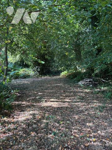 ST MARS SUR LA FUTAIE, Un étang d'environ 1700 m² sur un terrain de 4405 m² avec un cabanon.