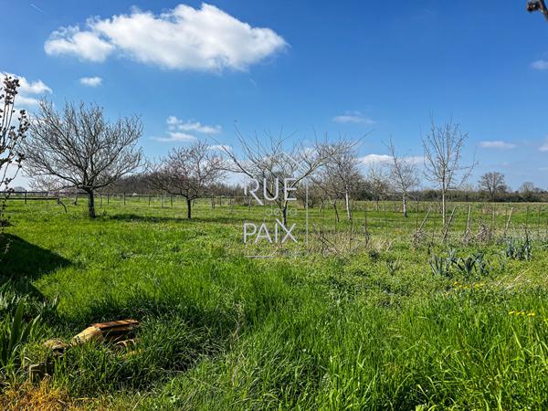 86380 SAINT MARTIN LA PALLU Maison Saint Martin La Pallu 6 pièce(s)