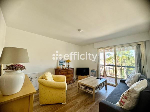 Appartement 1 pièce - 29 m² Exclusivité efficity