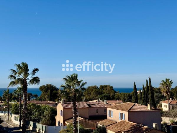 Appartement 1 pièce - 29 m² Exclusivité efficity