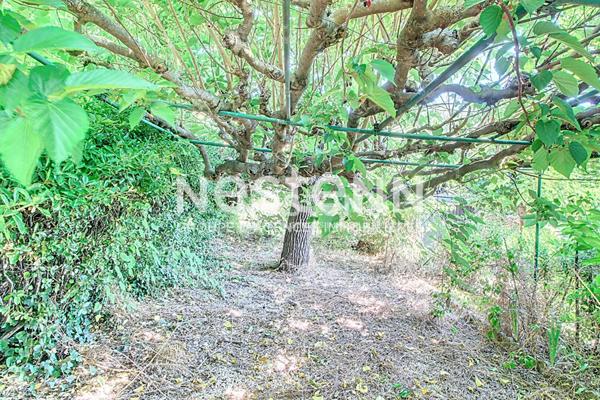 Appartement Lorgues 3 pièces : 59 m2 +garage + terrasse 30m2 + jardin de 100m2