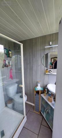 Maison à louer à Chalonnes-sur-Loire dans le Maine-et-Loire (49290), ref : 12516/1108