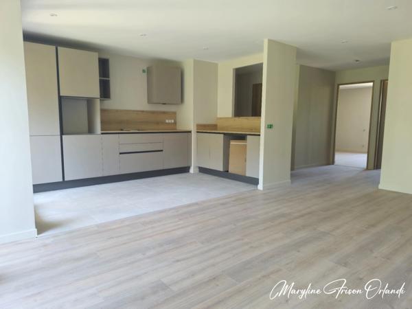 Magnifique T3 refait à neuf