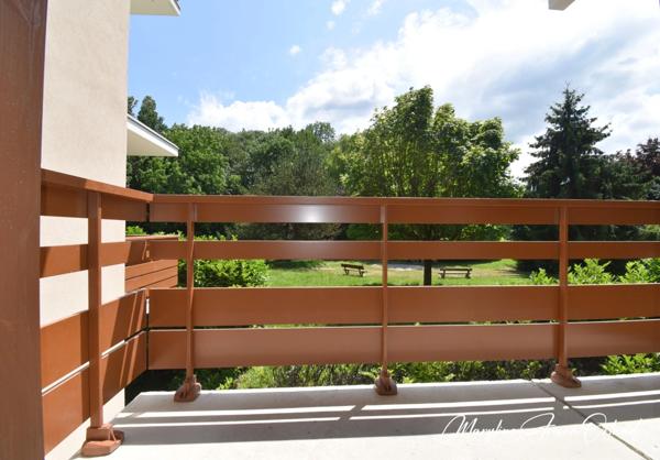 Magnifique T3 refait à neuf