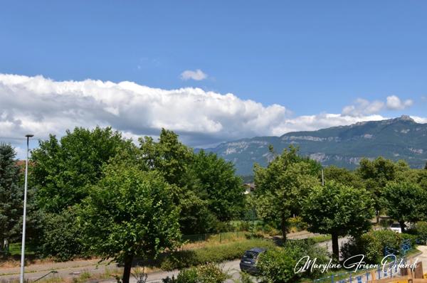 Magnifique T3 refait à neuf