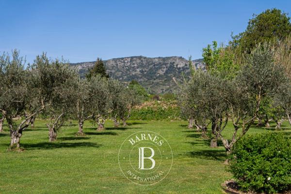 Cheval-Blanc, Maison 5 Chambres -  391 m² à vendre