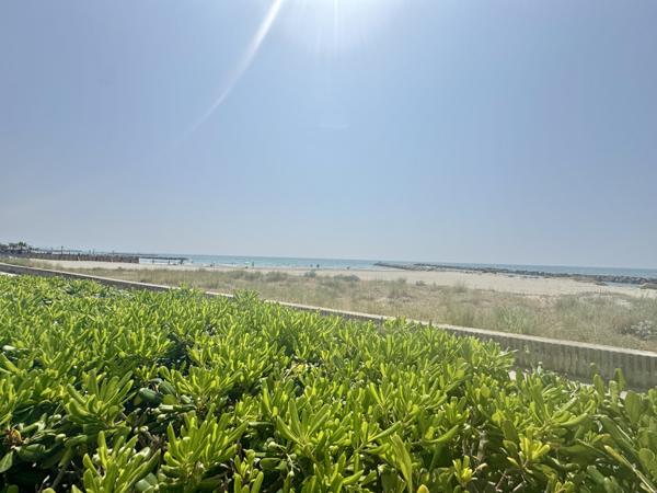 Palavas-les-Flots (34250) PALAVAS 1 er ligne MAGNIFIQUE Appartement 3 pièces en rdc grande terrasse