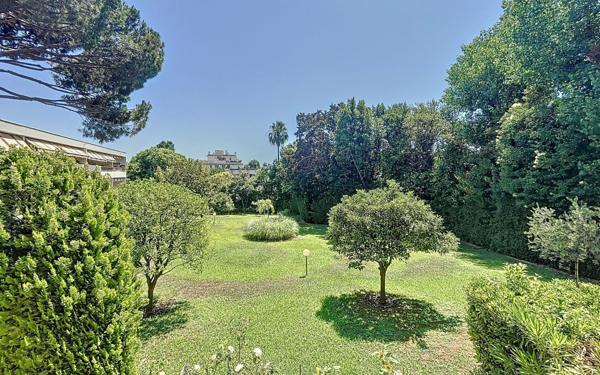 Appartement à louer    1 pièce •  Cannes