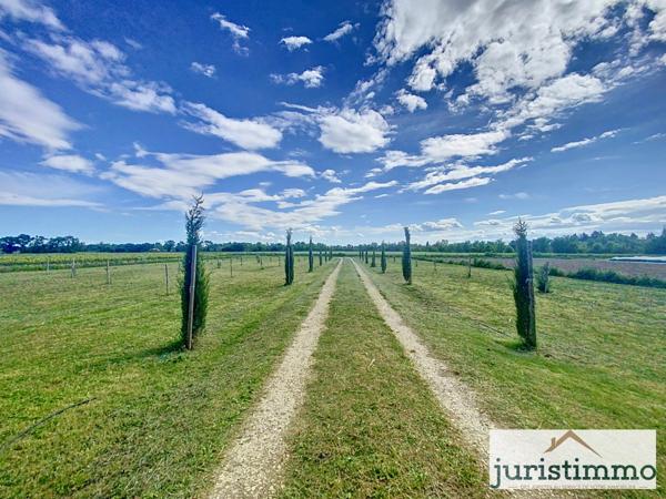 Sérignan-du-Comtat (84830) Authentique mas provençal