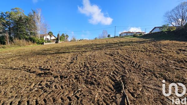 Terrain à vendre 1 949 m² Uhart-Mixe