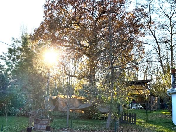 Maison à vendre 12 pièces ()