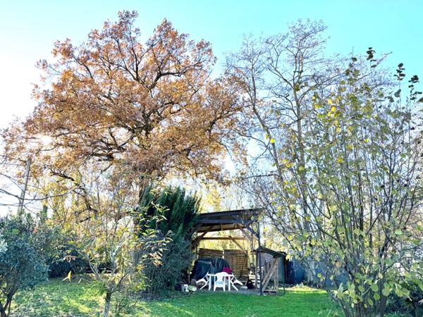 Maison à vendre 12 pièces ()