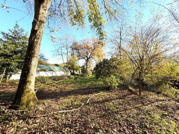 Maison à vendre 12 pièces ()