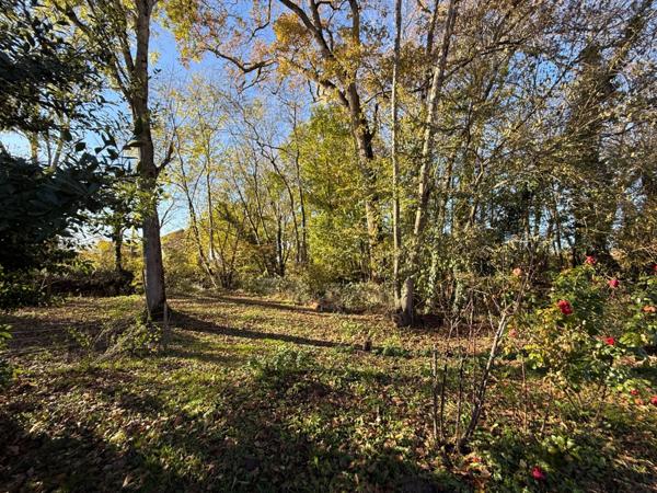 Maison à vendre 12 pièces ()