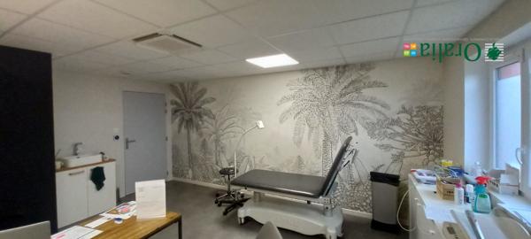 Local commercial · Location Theize (69620)