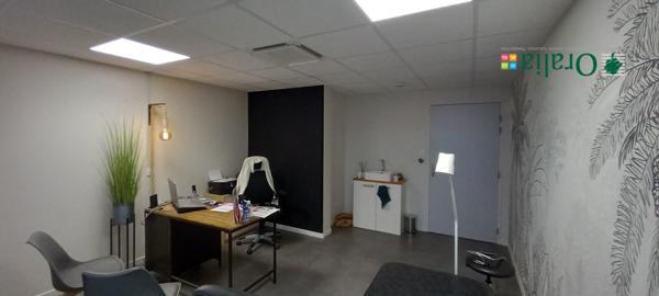 Local commercial · Location Theize (69620)