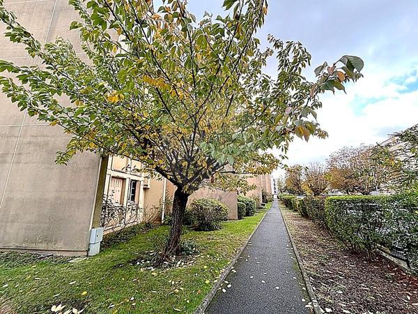 Appartement  en vente - Stade