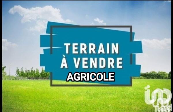 Terrain à vendre 21 840 m² Salses-le-Château
