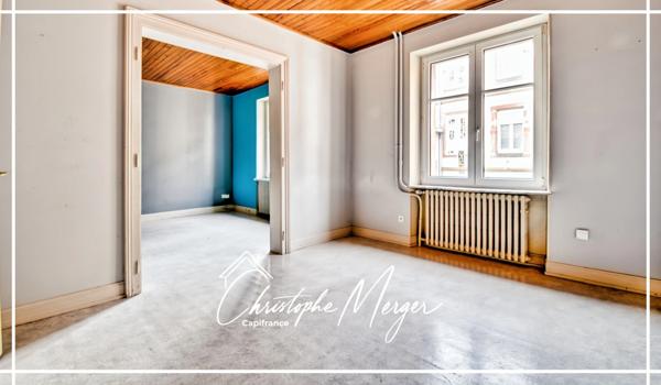 Maison à vendre 6 chambres 175m² à Sarrebourg (77) centre ville, spacieuse, avec jardin et garages