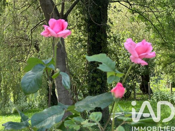 Maison à vendre 5 pièces 155 m² Bagneaux-sur-Loing