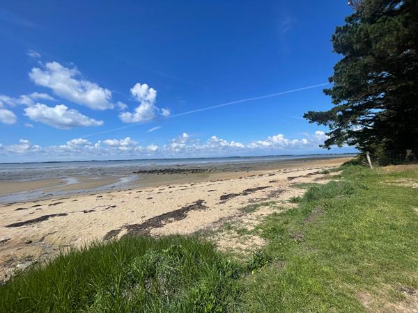 Terrain viabilisé à vendre à Sarzeau - le golfe à pied