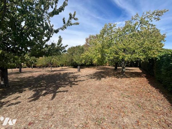 À VENDRE – Maison familiale avec grand terrain à Vivonne (86370)