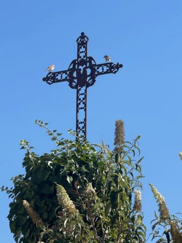 💧 Maison T5 Rénovée avec Eau de Source – Vue Montagne – Digne-les-Bains (Gaubert)