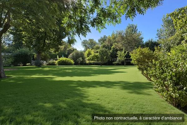 Mas en campagne d'Arles avec habitation familiale, deux gîtes, piscine, dépendances et grand jardin arboré