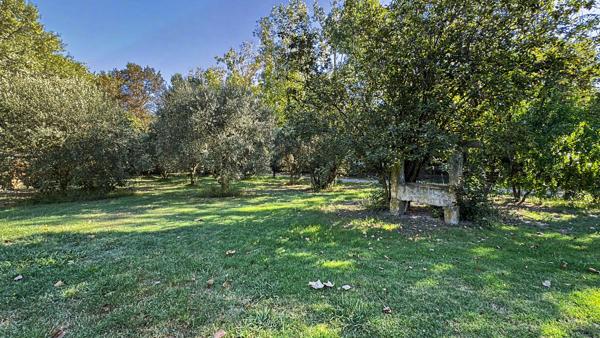 Mas en campagne d'Arles avec habitation familiale, deux gîtes, piscine, dépendances et grand jardin arboré