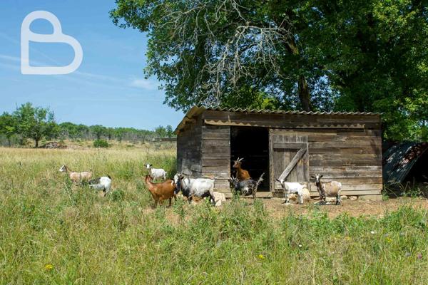 Salviac (46340) Maison en pierre avec piscine et grange