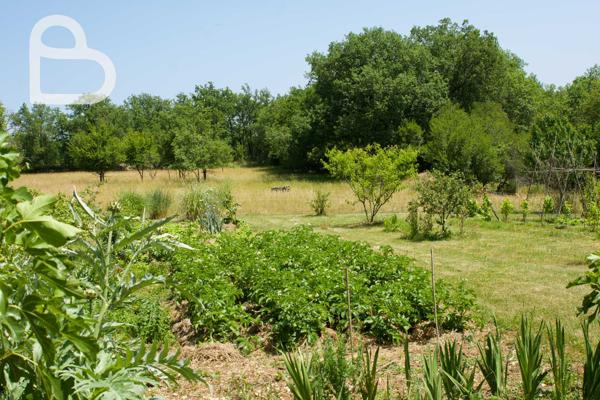 Salviac (46340) Maison en pierre avec piscine et grange