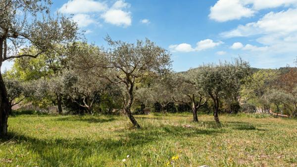 Maison entièrement restaurée dans un cadre privilégié