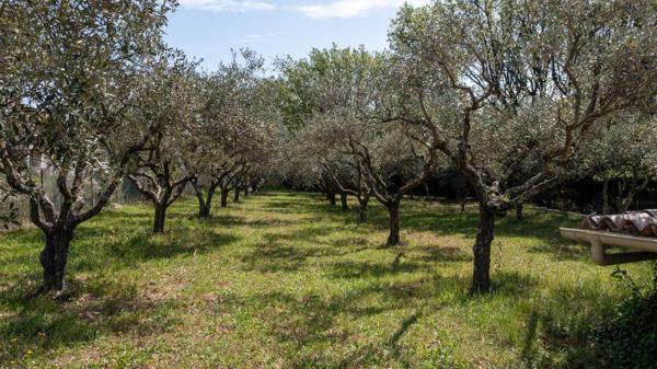 Maison entièrement restaurée dans un cadre privilégié