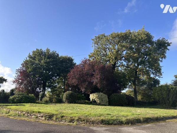 A VENDRE 56 PLOEREN, proche Vannes et Arradon, belle propriété, sur terrain + de 4 hectares + hangar